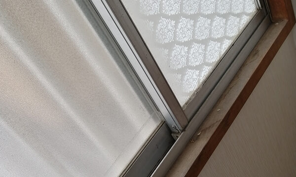 カビが発生した窓