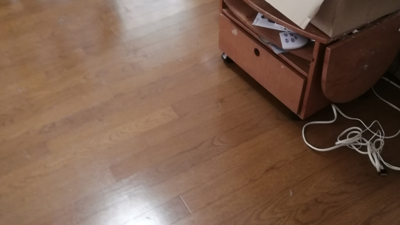 広島市ゴミ部屋４