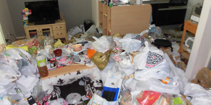 鳥取市ゴミマンションEYE