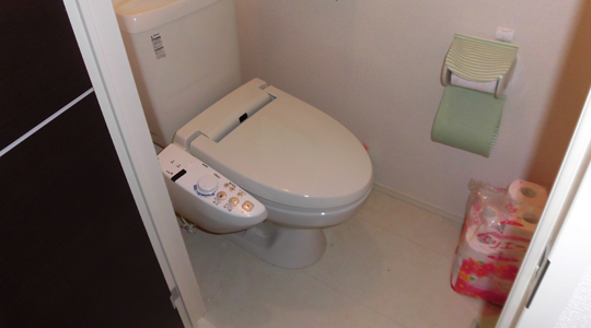 鳥取市ゴミマンション12