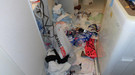 鳥取市ゴミマンション6